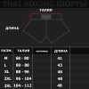 Thaiboxing Тайские Шорты Тайский Бокс Черно-Белые