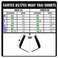 Fairtex x Milli Шорты Тайский Бокс