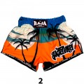 Raja Boxing SP67 Шорты Тайский Бокс