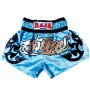 Raja Boxing RMTS-A27 Шорты Тайский Бокс