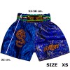 Детские Шорты Тайский Бокс "Thaiboxing" Дракон Синие с Золотом