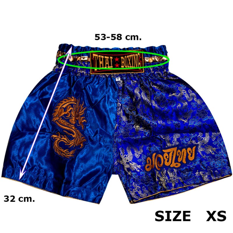 Детские Шорты Тайский Бокс "Thaiboxing" Дракон Синие с Золотом