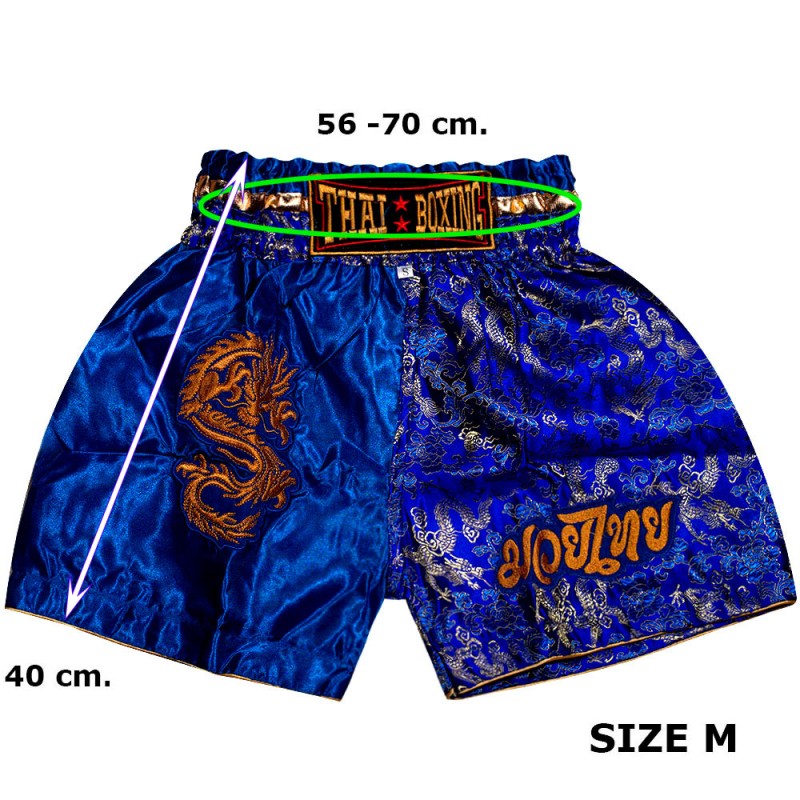 Детские Шорты Тайский Бокс "Thaiboxing" Дракон Синие с Золотом