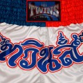 Twins Special "Yant" Шорты Тайский Бокс