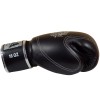 Raja Boxing Боксерские Перчатки Тайский Бокс "Double Line" Черные