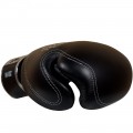 Raja Boxing Боксерские Перчатки Тайский Бокс "Double Line" Черные