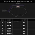 Raja Boxing "Muay Thai Warrior" Шорты Тайский Бокс