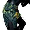 Fairtex BS1931 Шорты Тайский Бокс "Heart Of Gold"