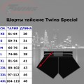 Twins Special TWS865-3 Шорты Тайский Бокс