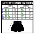Fairtex BS1901 Шорты Тайский Бокс "Stealth"