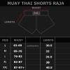 Raja Boxing Шорты Тайский Бокс "Lai Thai" Черные