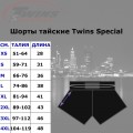 TWINS SPECIAL ШОРТЫ ТАЙСКИЙ БОКС T34 BLUE-WHITE-RED