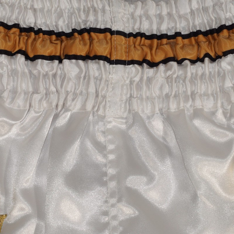 Top King TKTBS-051 Шорты Тайский Бокс