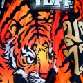 TUFF Шорты Тайский Бокс Ретро Стиль "Cruel Tiger"