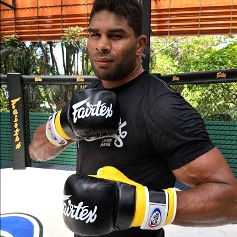 Fairtex FGV18 ММА Перчатки Спарринговые Черные с Синим