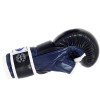 Fairtex FGV18 ММА Перчатки Спарринговые Черные с Синим