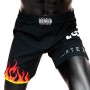 Fairtex AB12 Шорты ММА "Burn"