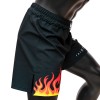 Fairtex AB12 Шорты ММА "Burn"