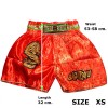 Детские Шорты Тайский Бокс "Thaiboxing" Дракон Красные с Золотом