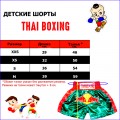 Детские Шорты Тайский Бокс "Thaiboxing" Дракон Черные с Серебром