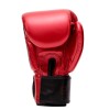 Fairtex Боксерские Перчатки BGV-Premium "Golden Jubilee" + Шорты Fairtex bs1917 "Golden Jubilee Solid" + Рюкзак. Юбилейный Сет от Fairtex