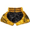 Twins Special Шорты Тайский Бокс "Dragon 2"