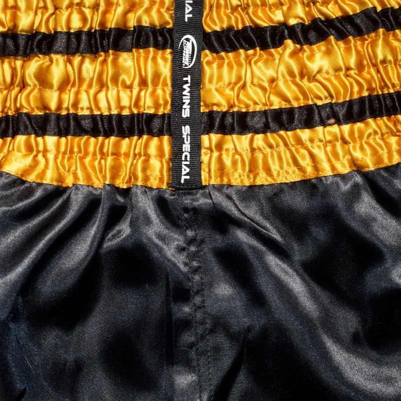 Twins Special Шорты Тайский Бокс "Dragon 2"