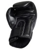 Fairtex BGV14 Боксерские Перчатки Тайский Бокс Двойной Черный 