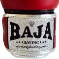Raja Boxing Боксерские Перчатки Тайский Бокс "Double Line" Красные