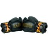 Raja Boxing Боксерские Перчатки Тайский Бокс "Porsche"
