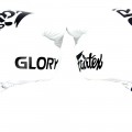 Fairtex BGVG1 "Glory" Боксерские Перчатки Тайский Бокс Липучка Белые