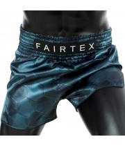 Fairtex BS1902 Шорты Тайский Бокс "Stealth"
