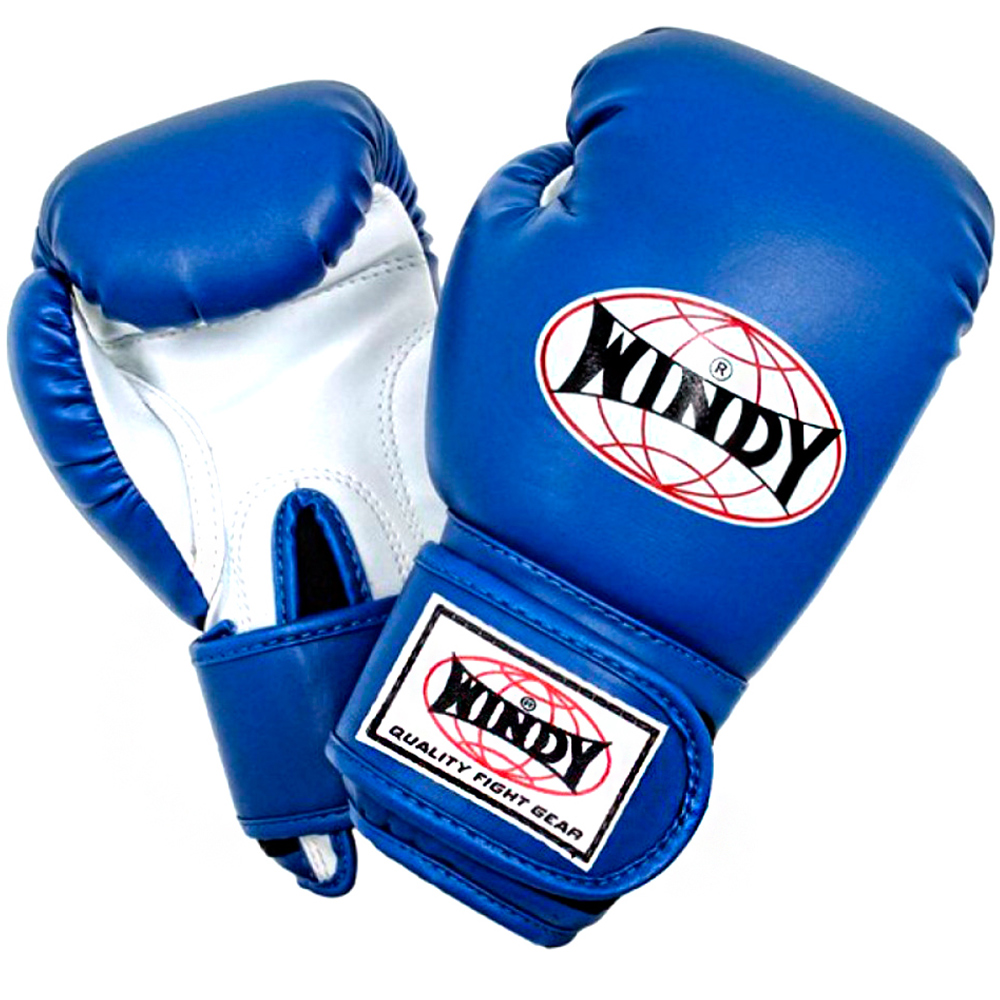 Боксерские перчатки Детские WINDY BSG Blue
