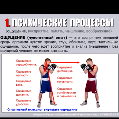 Важность волевых качеств бойца на ринге. Фактор психологической устойчивости.