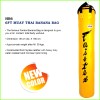 Fairtex HB6 Мешок Боксерский Тайский Банан "Muay Thai Banana Bag" Желтый