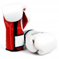 Боксерские Перчатки FAIRTEX BGV9 Mexican Style White