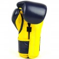 Боксерские Перчатки FAIRTEX BGV9 Mexican Style Blue
