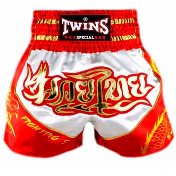 Twins Special Шорты Тайский Бокс "Dragon 5"
