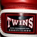 Боксерские перчатки Детские TWINS BGVS-DM-31 Red