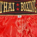 Детские Шорты Тайский Бокс "Thaiboxing" Дракон Красные с Золотом