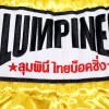 Lumpinee LUM-17 Тайские Шорты Лумпини Ретро Желтые