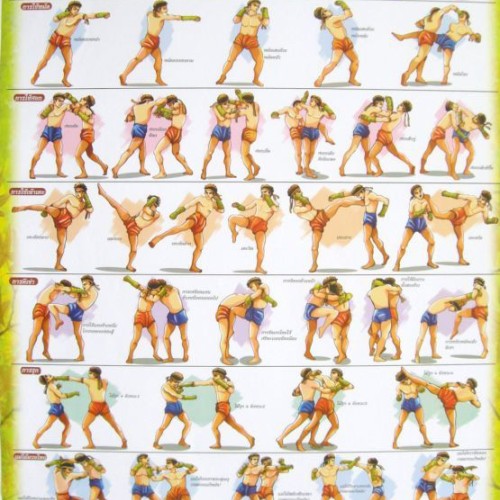 Самые эффективные удары в муай-тай