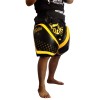 Fairtex TP4 Накладки Тренерские Тайский Бокс "Compact Thigh Pads"