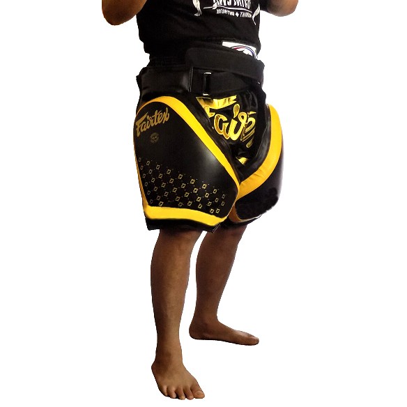 Fairtex TP4 Накладки Тренерские Тайский Бокс "Compact Thigh Pads"