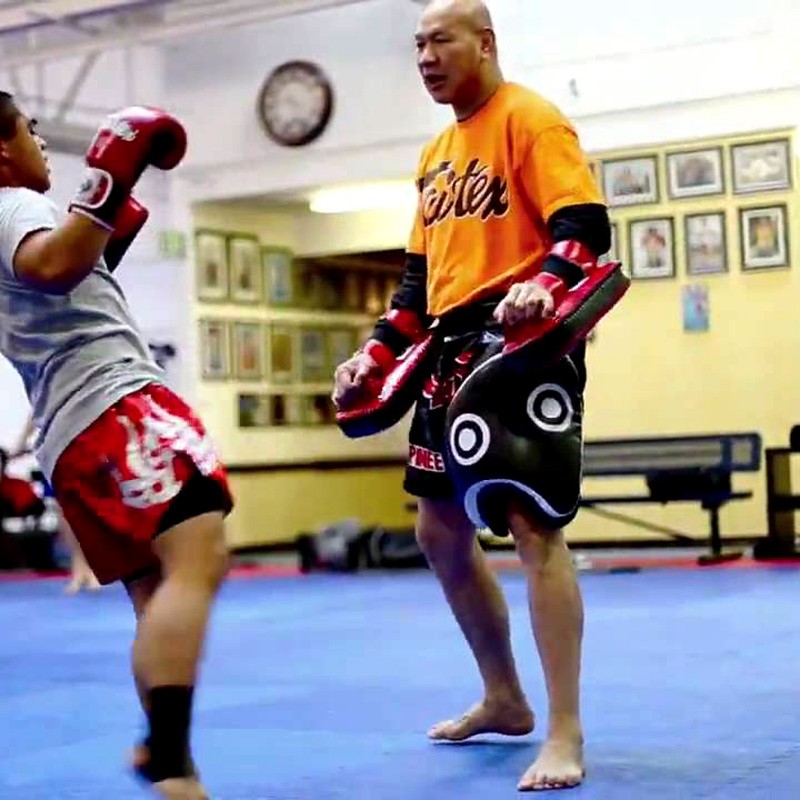 Fairtex TP3 Накладки Тренерские Тайский Бокс "Thigh Pads" Синие
